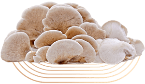 Tarragon Oyster Mushrooms